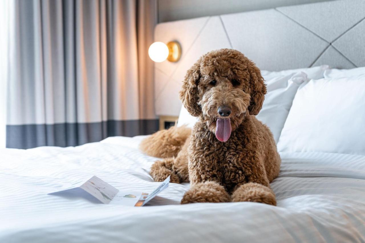 Residence Inn By Marriott Слау Экстерьер фото