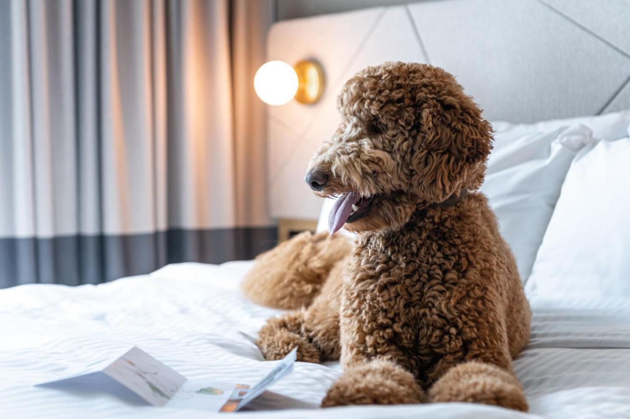 Residence Inn By Marriott Слау Экстерьер фото